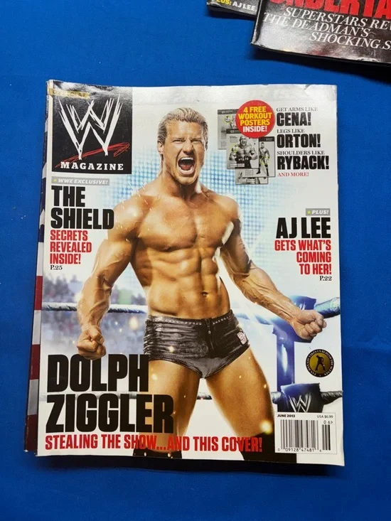 WWE magazines from 2013 the whole set - Picture 6 of 12